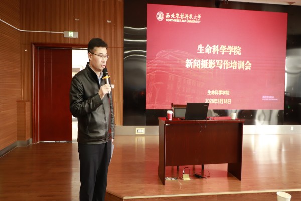 活动照片.jpg