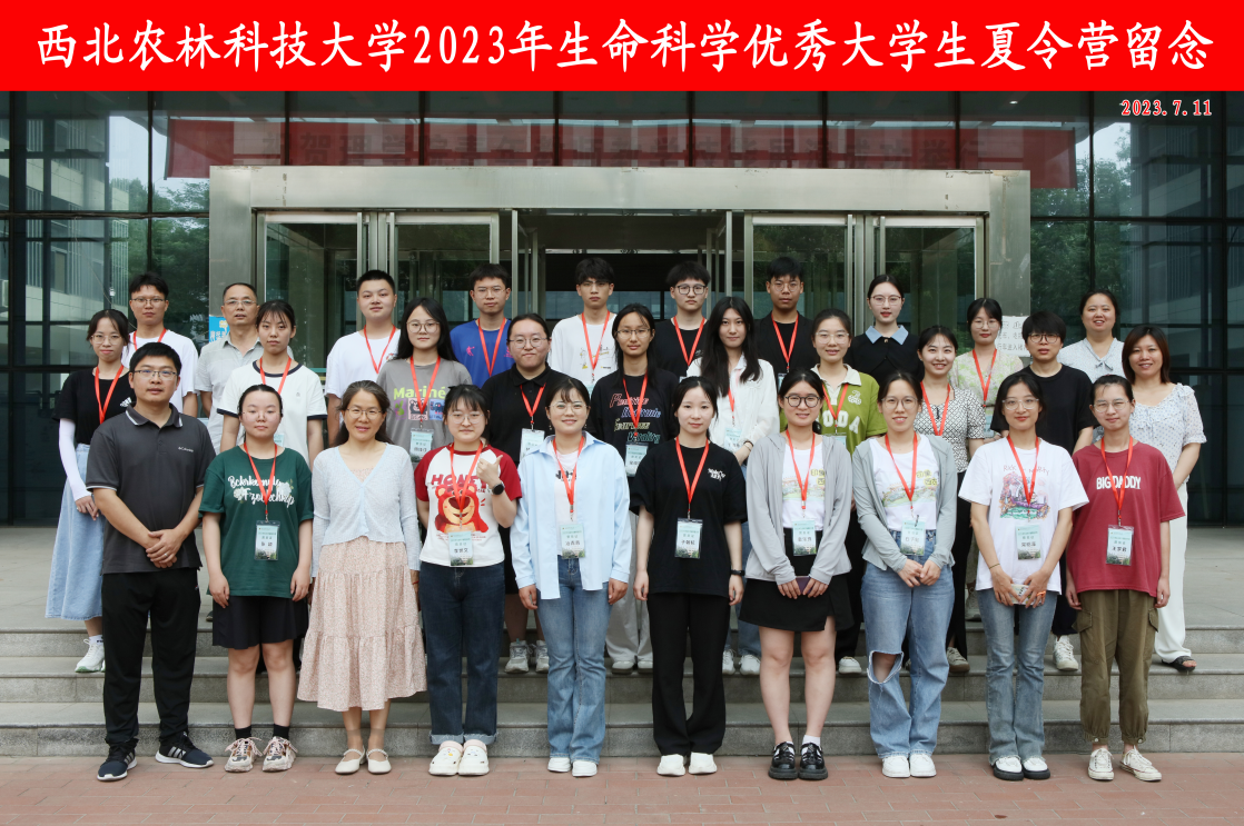 952ba74797bc4691a4ec00e2067f45a9.png 952ba74797bc4691a4ec00e2067f45a9.png